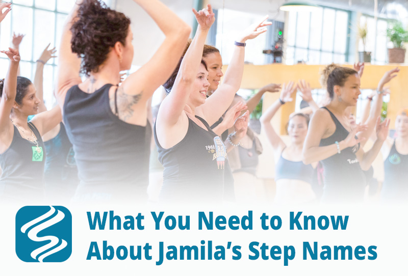 What You Don’t Know About Jamila Salimpour Step Names